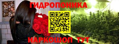 гидра Нарткала