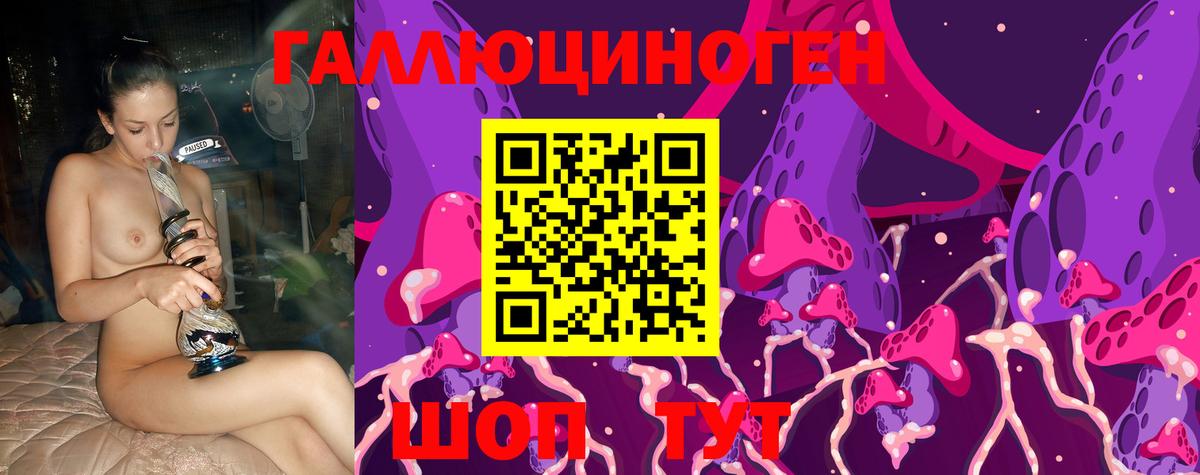 Псилоцибиновые грибы Psilocybine cubensis Стрежевой